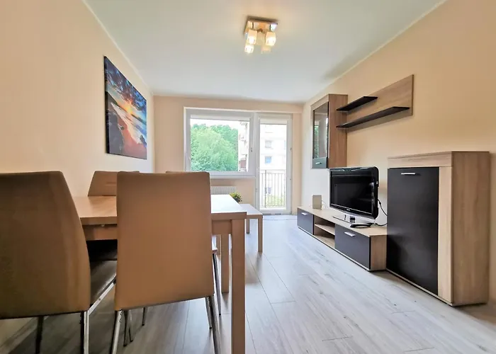 Euro24 Magnolia - Sienkiewicza