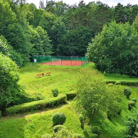 Euro24 Magnolia - Sienkiewicza